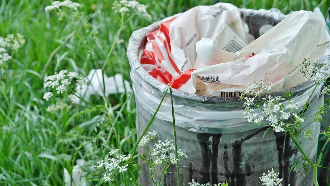 Intelligent Waste Collection (Smart Bin Networks)